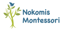 Nokomis Montessori North Campus