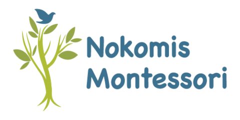 Nokomis Montessori North Campus